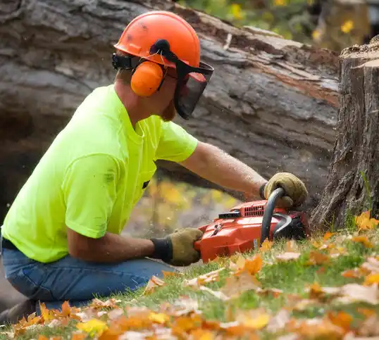 tree services Rolla